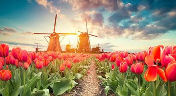 Netherlands Global Payroll Tax Information Guide Cover 1