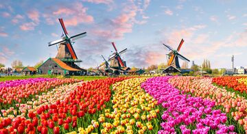 Netherlands Global Payroll & Tax Information Guide