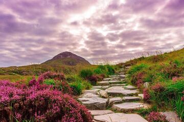 COVID 19 Employer payroll changes Ireland