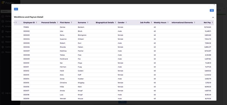 Payslip Report Designer Dashborad