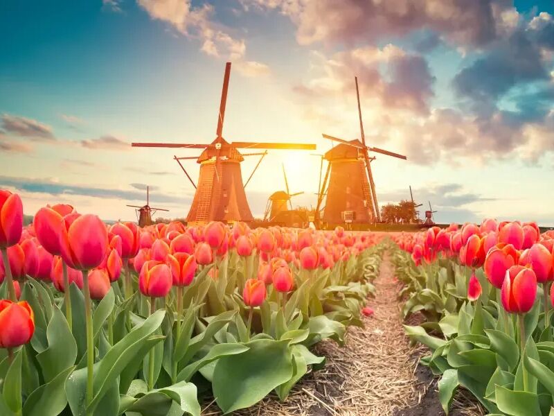 Netherlands Global Payroll Tax Information Guide Cover 1