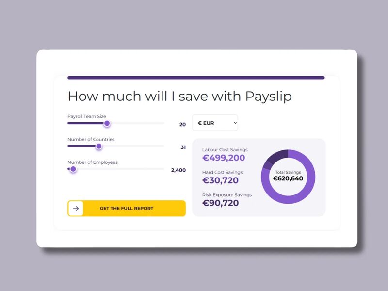 Payslip Business ROI Calculator