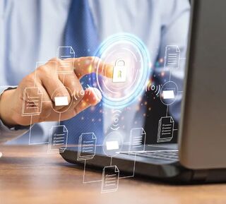 Pay Transparency Reporting Categories