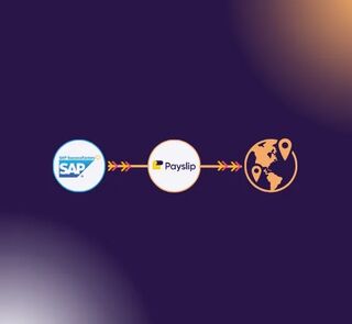 SAP Success Factors HCM Payslip Global Payroll Transformation 560 x 517 px 3