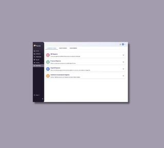 Real time global payroll reporting
