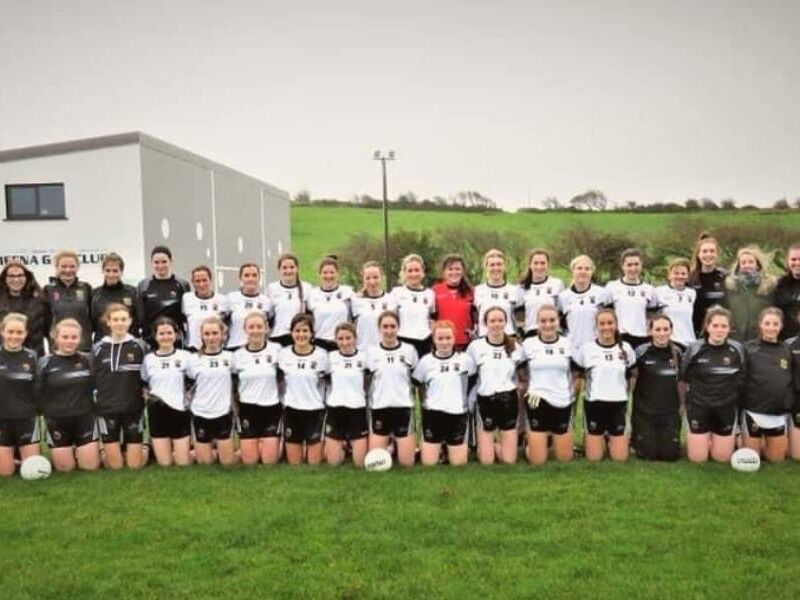 Payslip sponsored Kilmeena Junior Ladies go all the way to the final