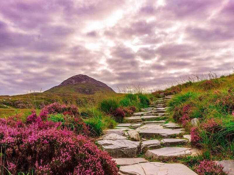 COVID 19 Employer payroll changes Ireland