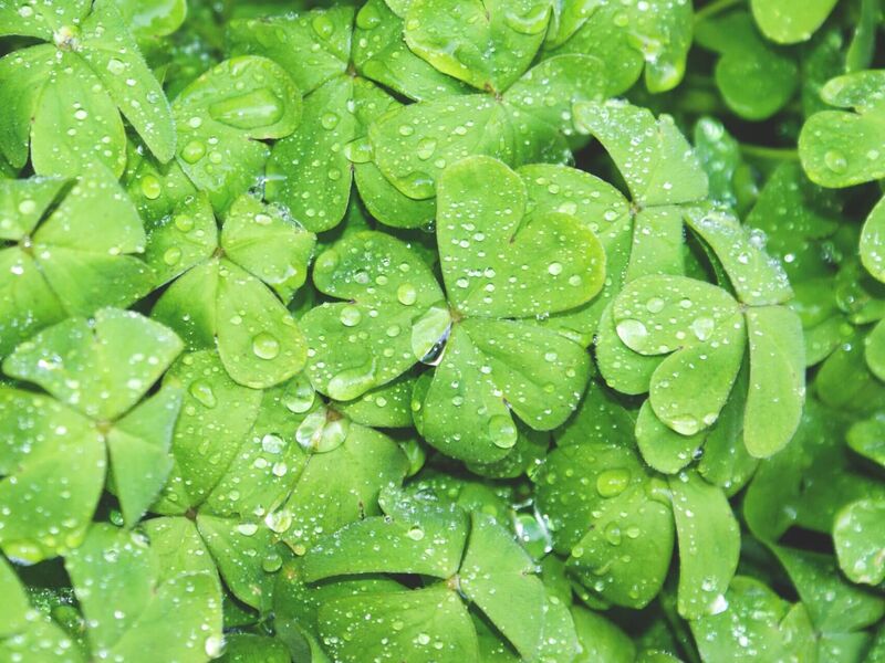 Quentin rey 8846 unsplash