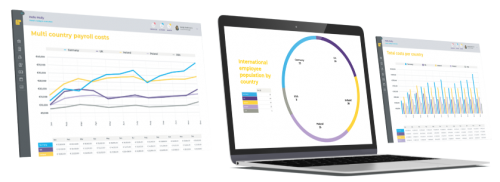 payslip reporter - png wide
